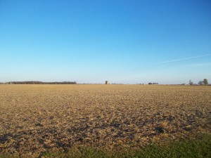 40 Acres, 100% Tillable, Cass County IL