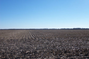 86.92 Acre Cass County Land Auction