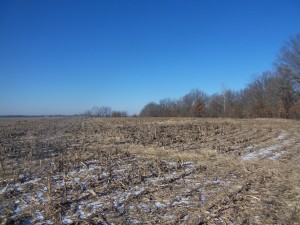 40 Acre Morgan County Land Auction