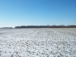 240 Acre Morgan County Land Auction