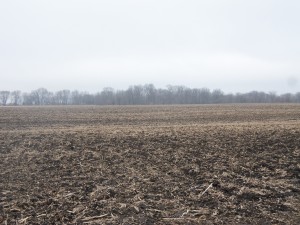 49.15 Acres, 86% Tillable, Sangamon County