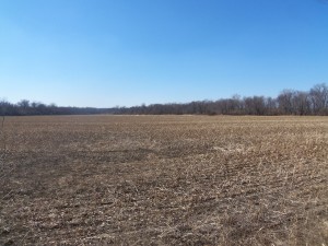 105.9 Ag/Rec Combo Acres, Scott County IL