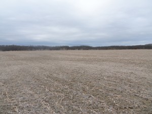 112.49 Ag/Rec Combo Acres, Brown County IL