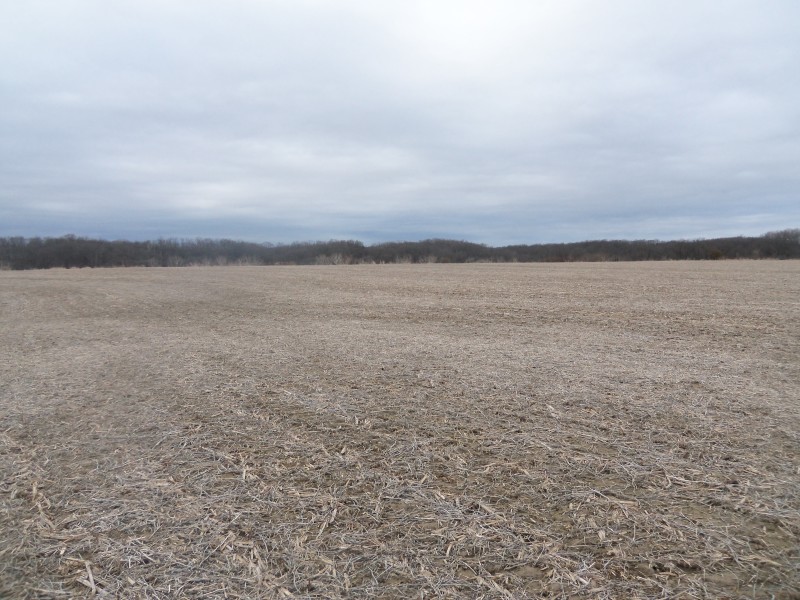 112.49 Ag/Rec Combo Acres, Brown County IL