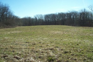 64 Acres, Morgan County IL