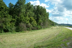 54.83 Acres Hunting Ground, Greene County IL