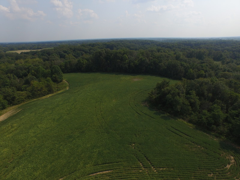 80 Acres with Opportunity, Morgan County IL