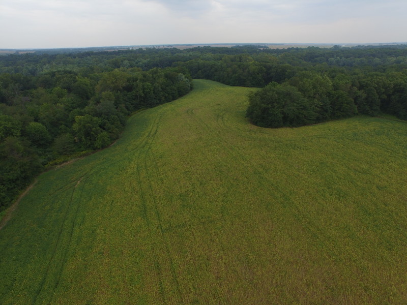 20.5 Acre Farm, 8± Tillable, Potential Home Site, Morgan County IL