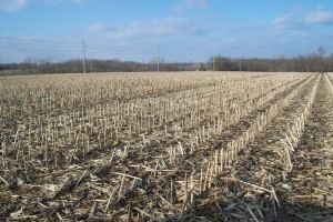 14.689± Acres, 92% Tillable, Scott County IL