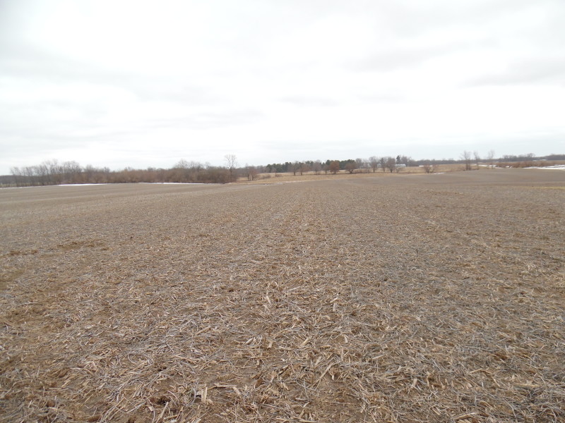 38.5 Acres, 92% Tillable, Greene County IL