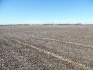 57.45 Class A Acres, 100% Tillable, Greene County IL