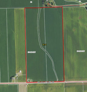 80 Class A Acres, 99% Tillable, Morgan County IL