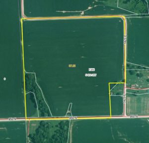 37.25 Acres, 89% Tillable, Greene County