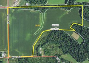 38.9± Acres, 82% Tillable, Morgan County Illinois