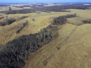 Turn-Key Cattle Farm with Improvements, Morgan County