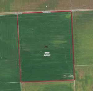 50 Acres, 100% Tillable – Class A, Morgan County