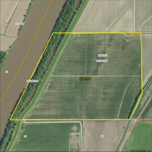 200.78± Acres, 83% Income-Producing · Greene County, Illinois