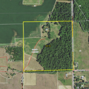 39.16 Acres, Recreational Land + Buildable Potential in Triopia School District