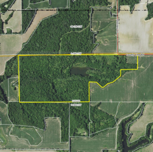 78± Acre Hunting Tract with Buildable Potential · Morgan County, Illinois