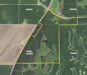 Hunting & Recreational Land for Sale · Greene County, Illinois