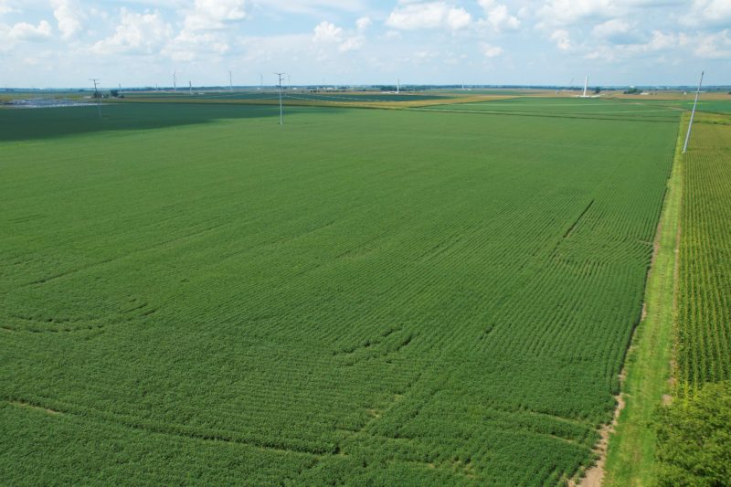 116.39± Acre Farmland Auction · 1 Tract Near Franklin · Morgan County, Illinois