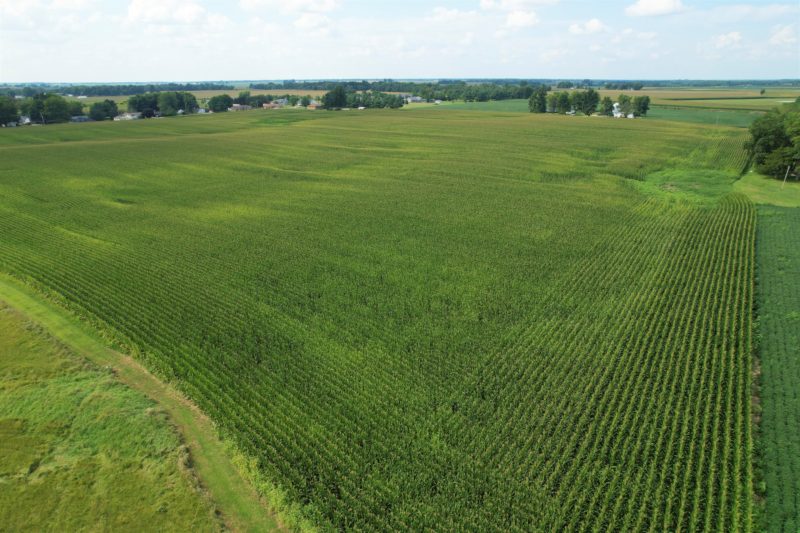 Tillable Farmland with Diverse Potential · 78.2± Acres · Morgan County, Illinois