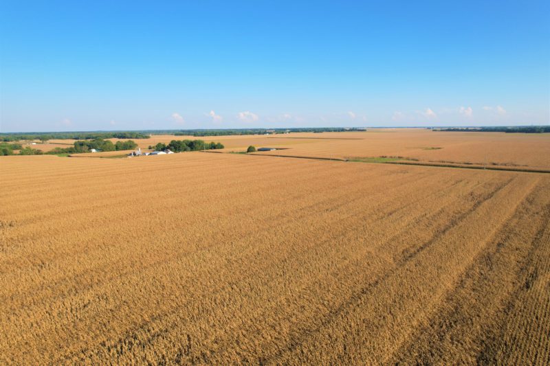 Tillable Farmland · 39.8± Acres · Sangamon County, Illinois