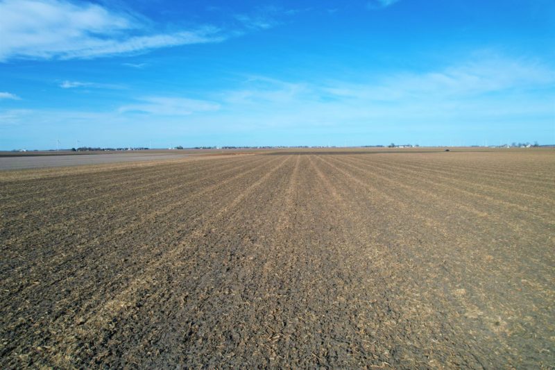 82.84± Acre Farmland Auction · 1 Tract · Morgan County, Illinois