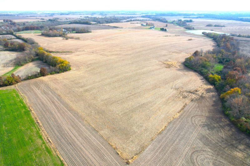 Tillable Farmland · 75.38± Acres · Pike County, Illinois