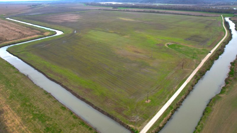 241± Acre Farmland Auction · 1 Tract · Greene County, Illinois