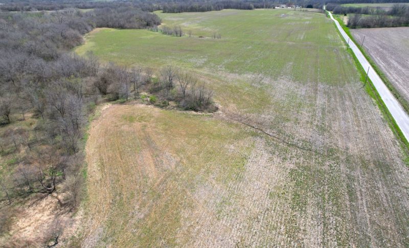 131.36± Acre Combo Land Auction · 1 Tract · Macoupin County, Illinois