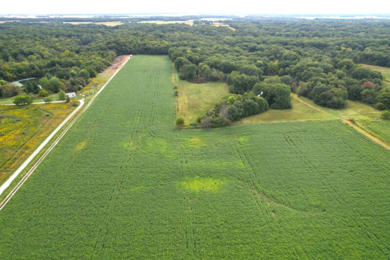 Tillable Farmland · 20.95± Acres · Morgan County, Illinois