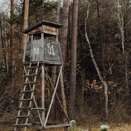 deer-stand