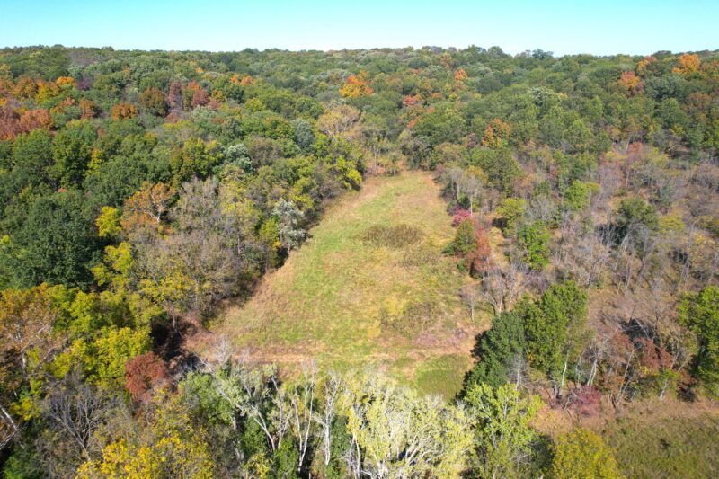 Secluded 108.3± Acre Hunting Retreat ∙ Calhoun County, Illinois