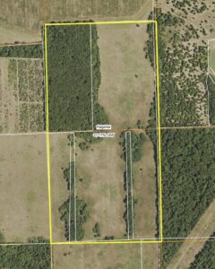 81.77± Acres · Farmland, Hunting & CRP Potential · Cass County, Illinois