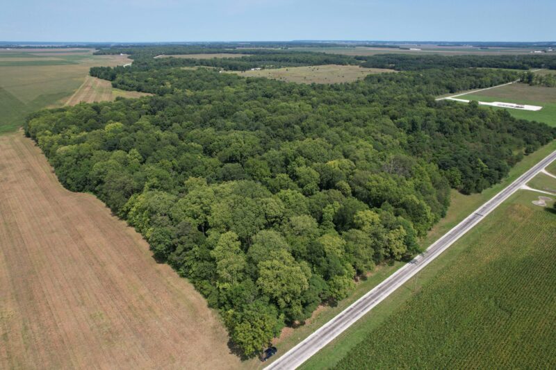 40.02± Acres · Hunting + Build-Site Potential · Along Cass Morgan Line