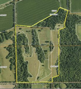 Secluded Hunting & CRP Tract · 82± Acres · Morgan County, Illinois