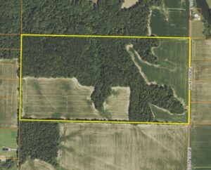 80.00± Acres ∙ Combo Farm ∙ Fayette County, IL
