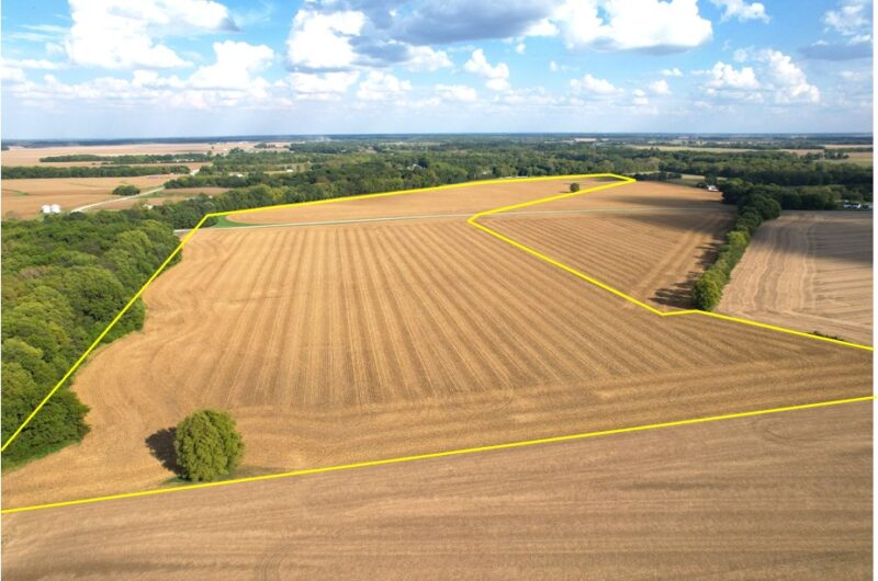 81.18± Acres · 93.5% Tillable Farmland near Pleasant Plains · Sangamon County, IL