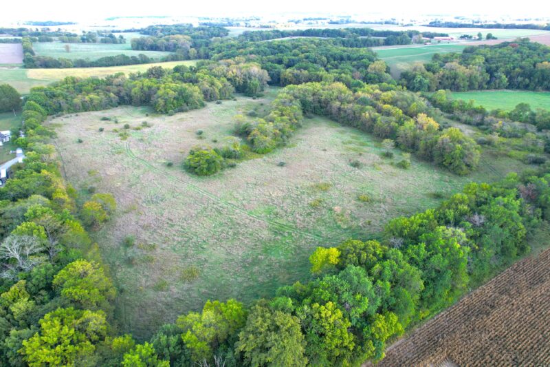 41.78± Acres · CRP & Recreational Woodland near Pleasant Plains · Sangamon County, IL