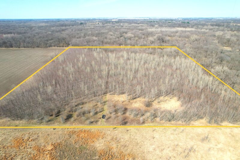 31.0± Acres · Recreational Woodland near Rochester · Sangamon County, IL