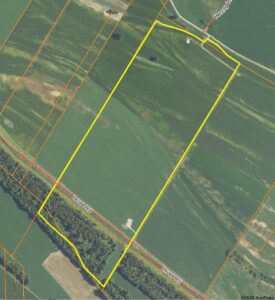 183.4± Acres ∙ 83% Tillable Farmland ∙ Randolph County, Illinois
