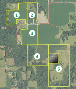 187.05± Acre Farmland Auction · 5 Tracts Buyer’s Choice · Scott County, Illinois