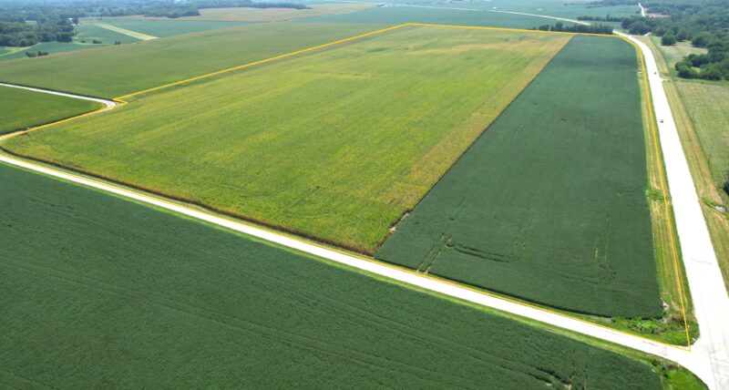 75.50± Acre Farmland Auction · 99% Tillable · Morgan County, IL