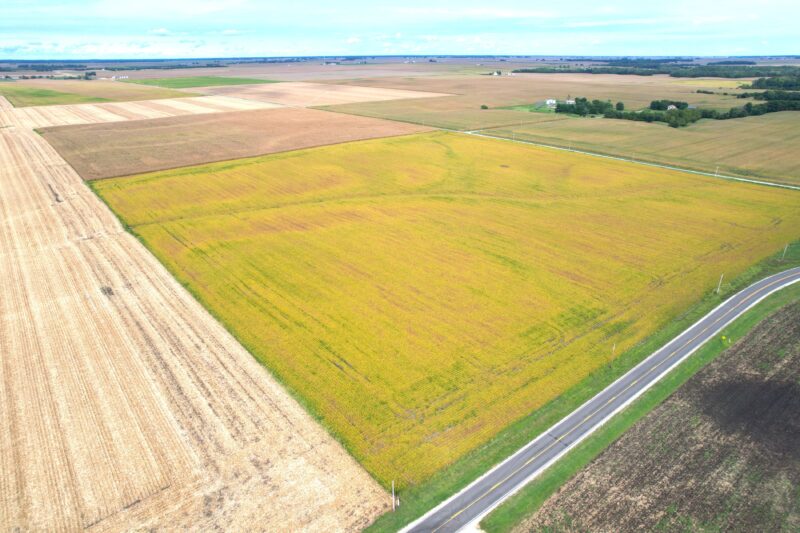 79.85± Acre Farmland Auction · 98% Tillable · Morgan County, IL