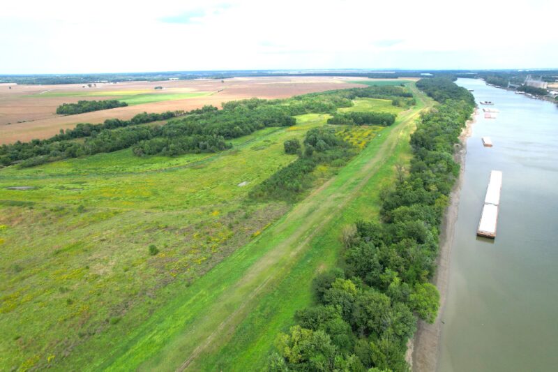 268.32± Acres ∙ Hunting Land & CRP ∙ Pike County, Illinois